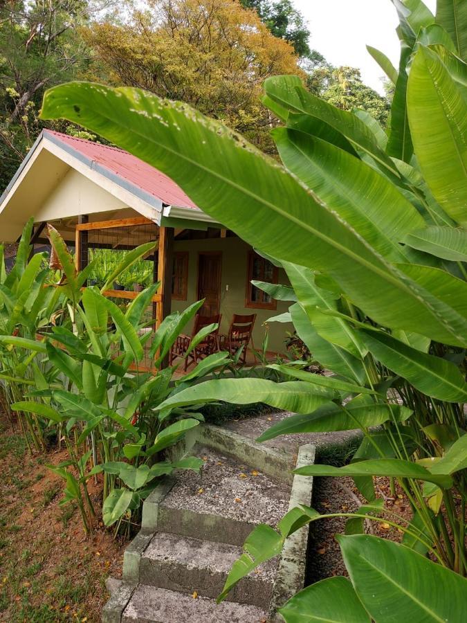 Cabina Rancho La Merced Uvita Esterno foto